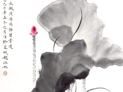 花鸟画名家赵海旭老师新作《静看花开 》