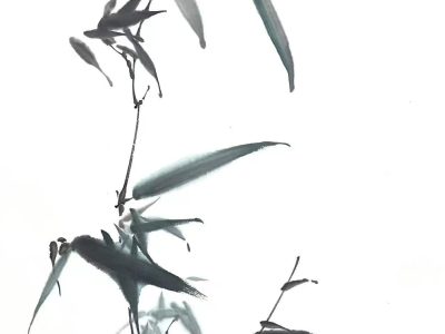 赵海旭老师新作《青翠》